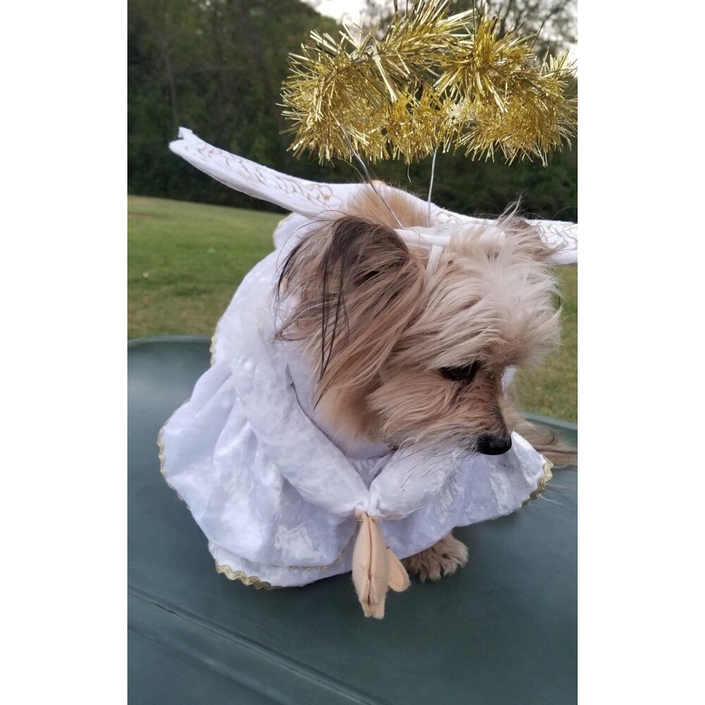 Heavenly Hound Dog Angel Costume -SMALL - Halloween Christmas - Picture 2 of 4